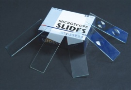 Microscope  Slides  3